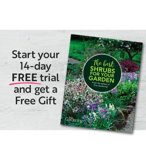 Start Your 14-day Free Trial and get 'The Best Shrubs for your Garden' e-book as a free gift.