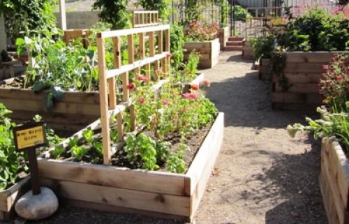 Raised bed gardens reach new heights