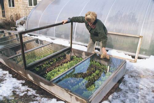 This cold frame can give you a 12-month growing season.