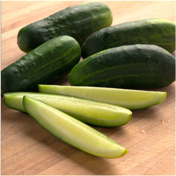 Little Leaf H-19 Organic Pickling Cucumber - Fedco Seeds