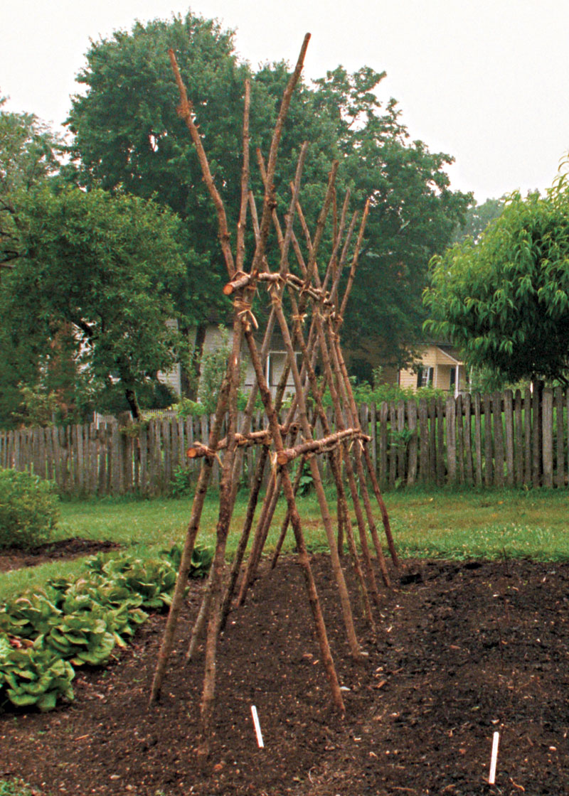 Three Garden Structures You Can Build