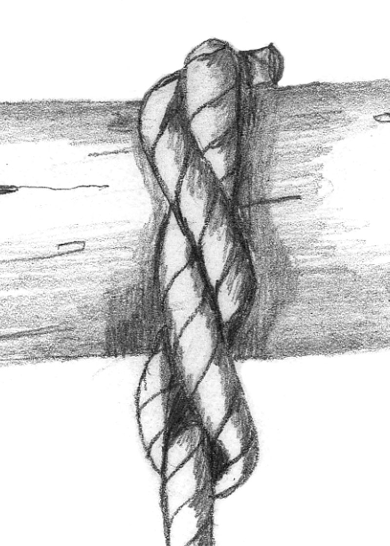 Timber hitch step 2