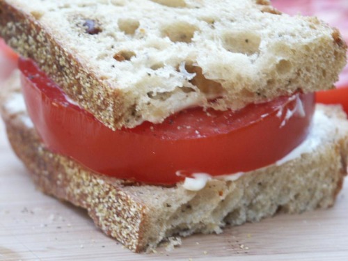 Tomato sandwich