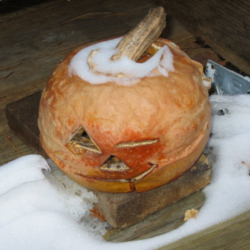 Frosty the pumpkin