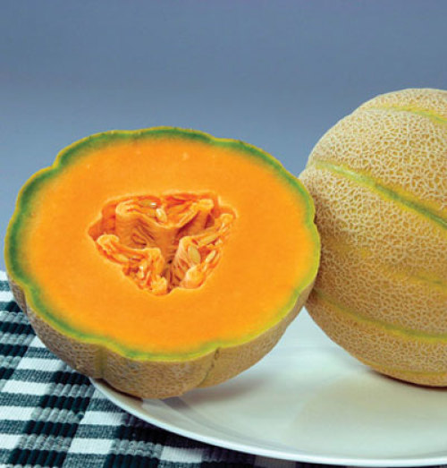 Halona melon