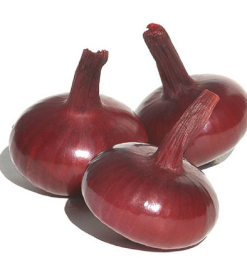 Red Marble onions.