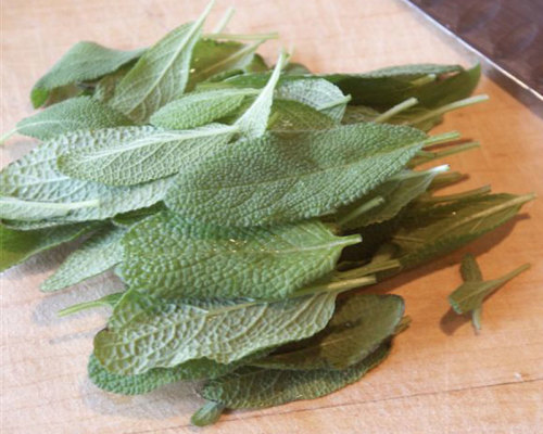 Using Sage in Warming Winter Dishes