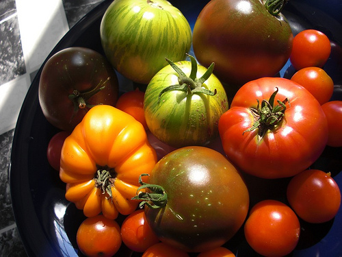 How Do You Choose Which Tomato Varieties to Grow? 