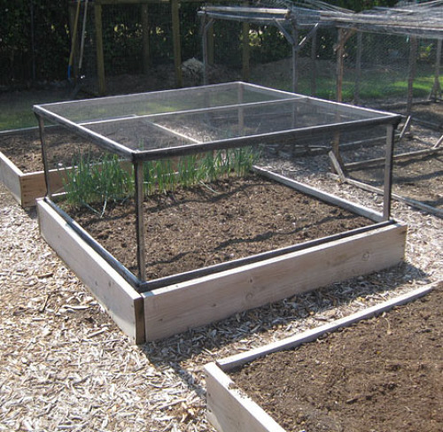 Raised bed pest cover
