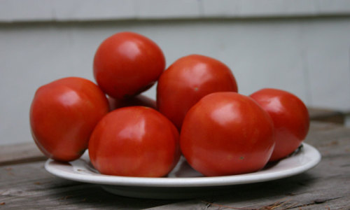 Carmelo, Jet Star, Celebrity tomatoes