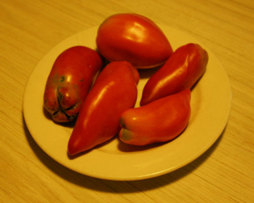 Opalka, Linguisa, Amish Paste tomatoes