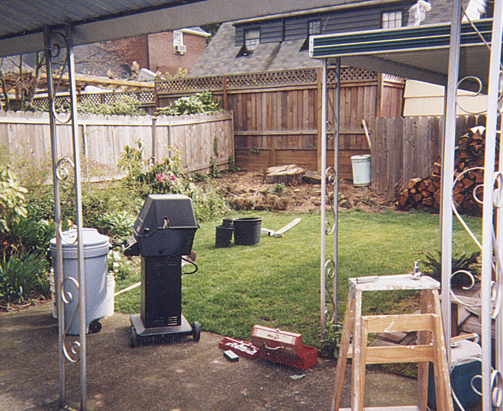 backyard before