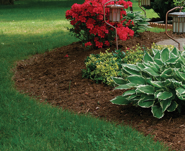 Use Mulch To Manage Your Soil Conditions Finegardening