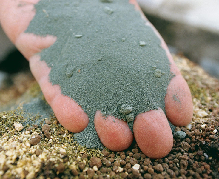 close up of hand holding greensand