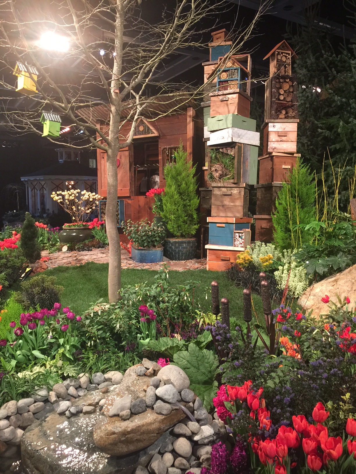 snapshots from the gardens at the northwest flower and garden show