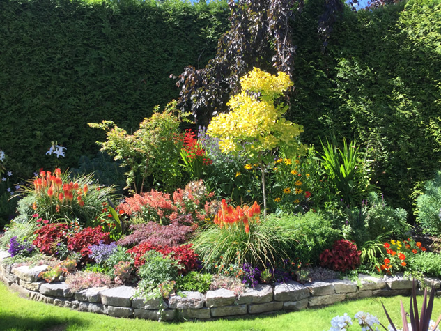 colorful plants with yellows, orange, pinks, reds, purples and greens with a short stone wall border