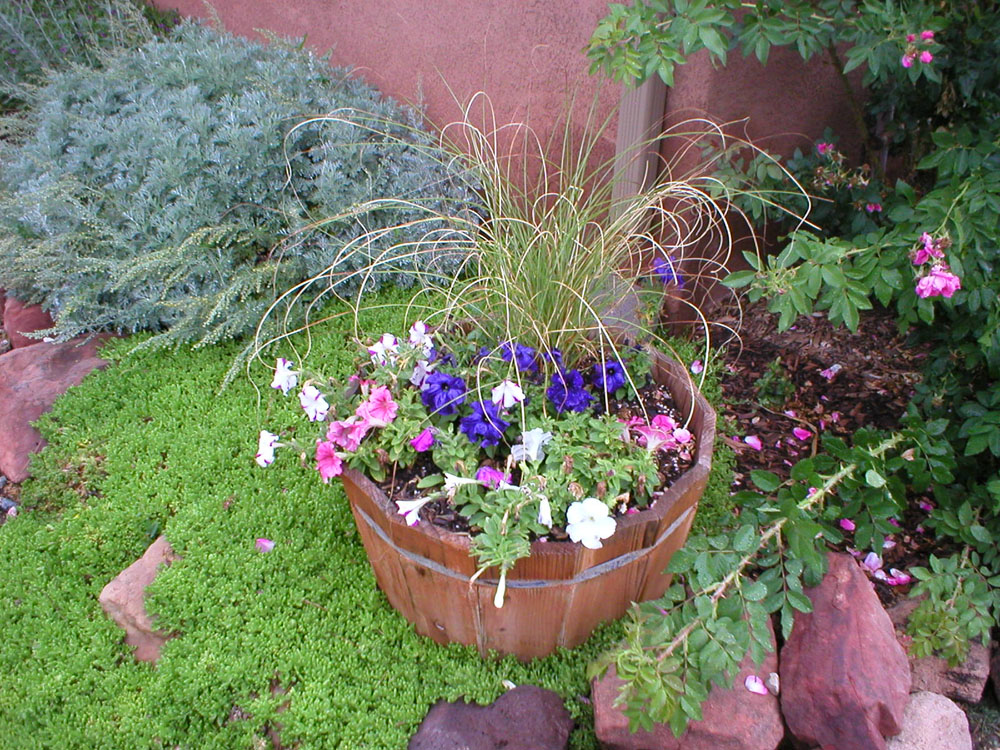 Garden In Rural New Mexico, Container Gardening In New Mexico