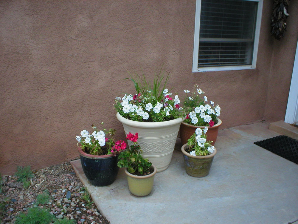 Garden In Rural New Mexico, Container Gardening In New Mexico