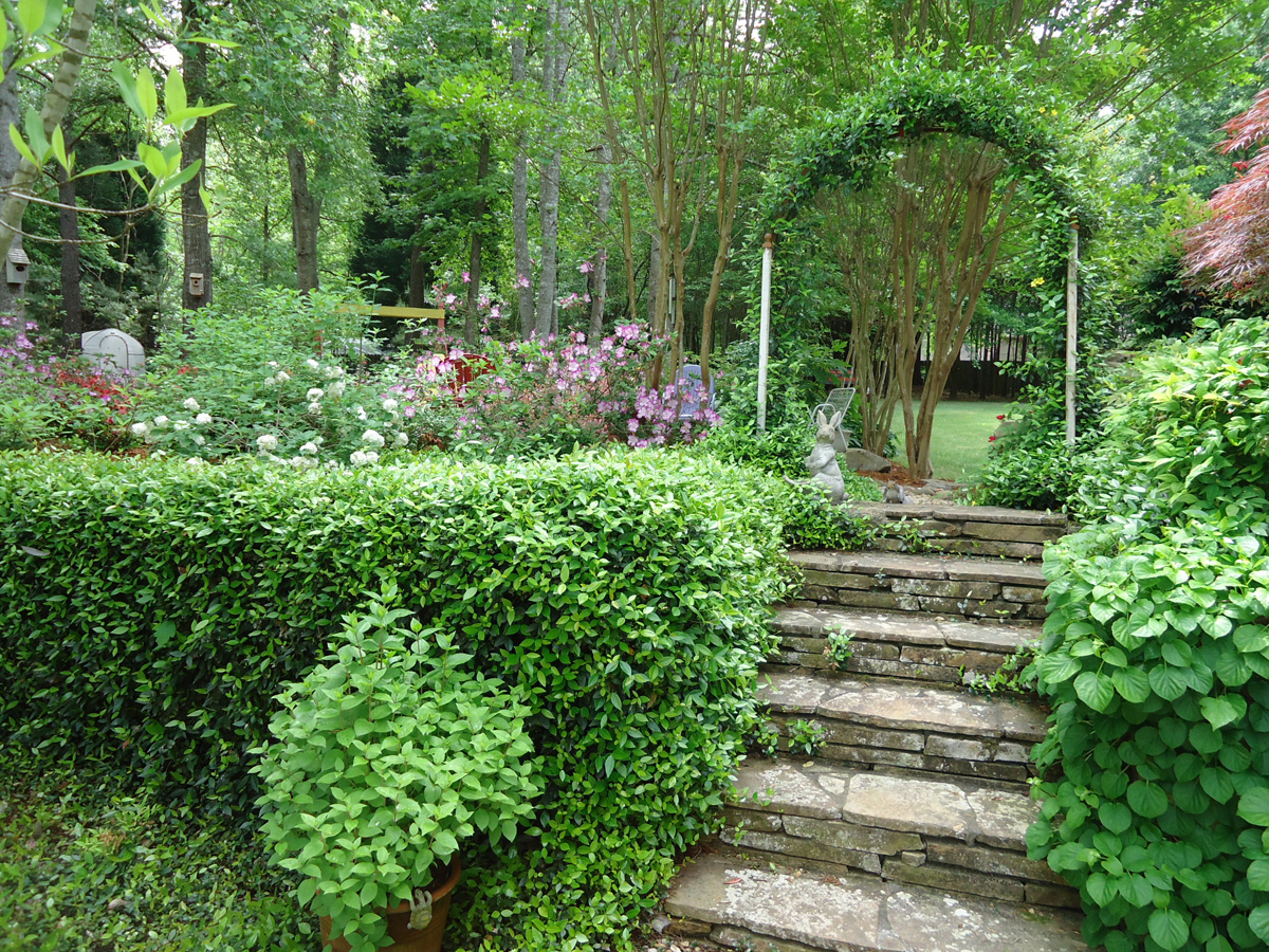 Reader Photos Bonnie S Garden In Georgia Finegardening