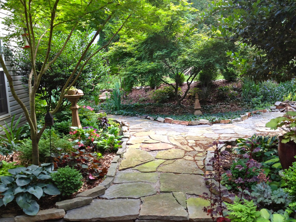 Debbie's garden in Alabama - FineGardening