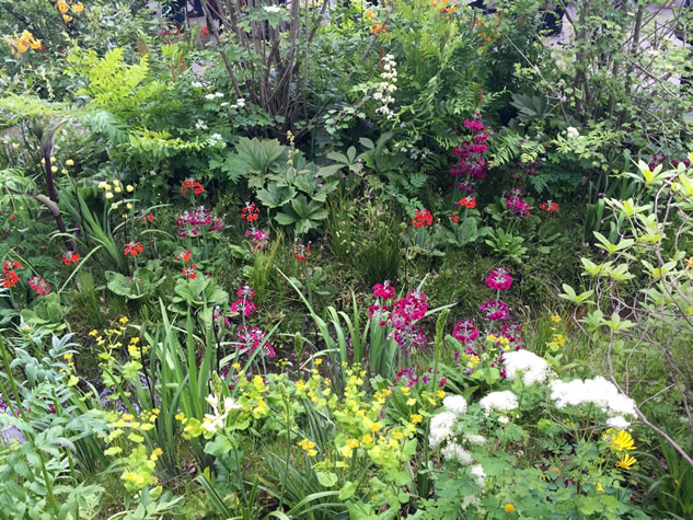 Dan Pearson’s Chatsworth Garden, Chelsea Flower show 2015