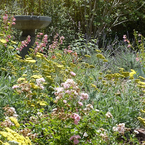 Fountain and warm-colored perennials