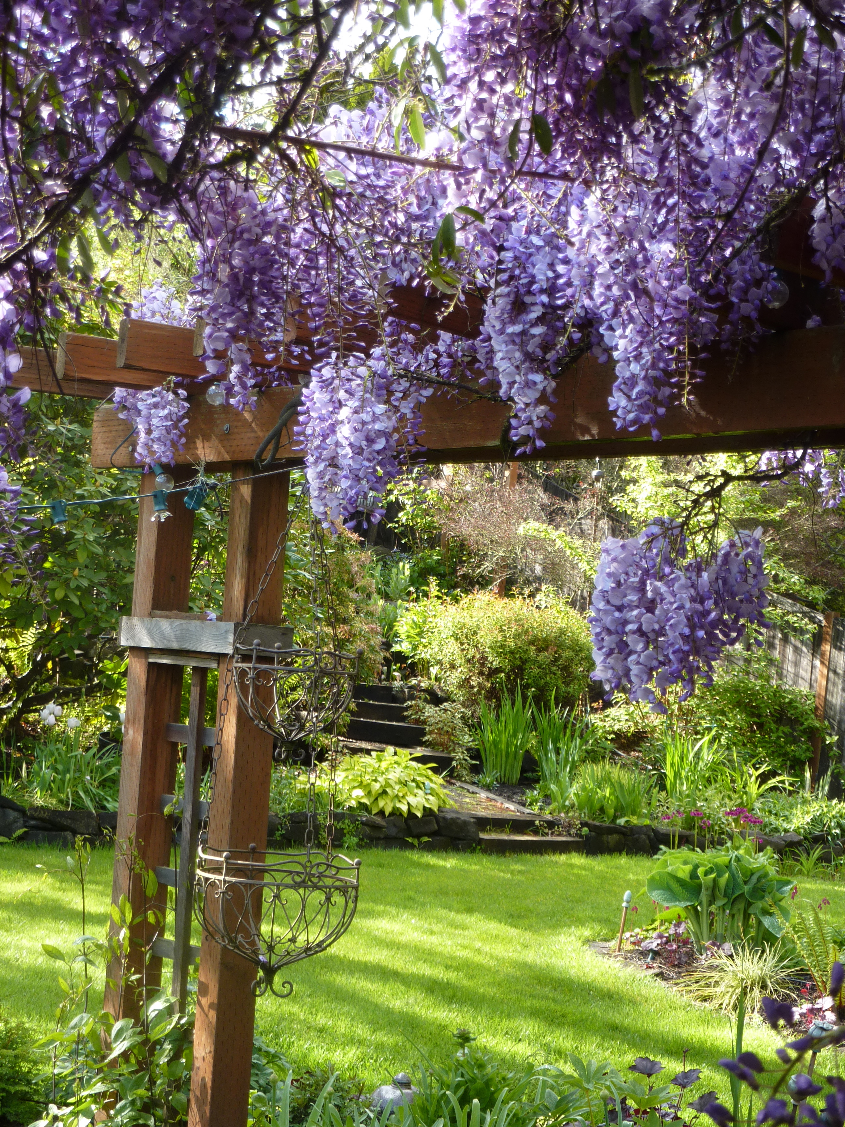 Nancy S Hillside Garden In Oregon Finegardening