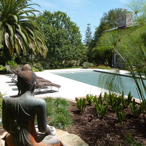 Buddha from behind overlooking pool