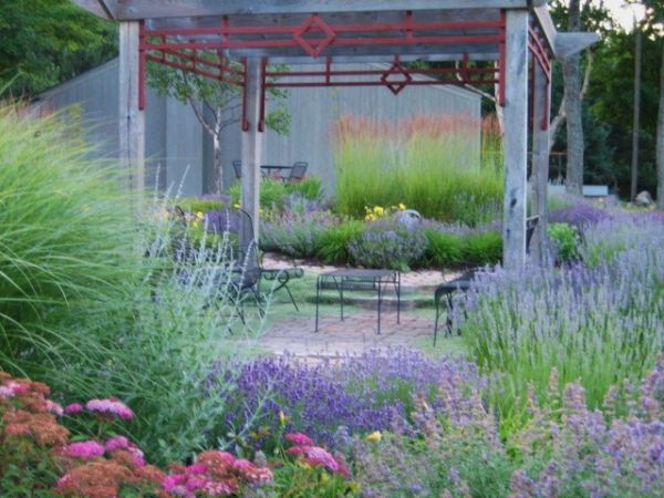 Lavender Garden Wins Backyard Garden Spaces Contest Finegardening