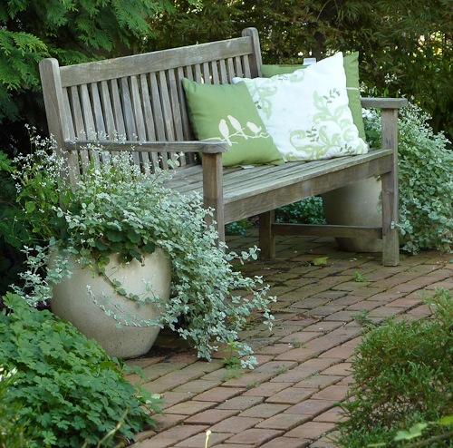 Gray wood bench with green foliage