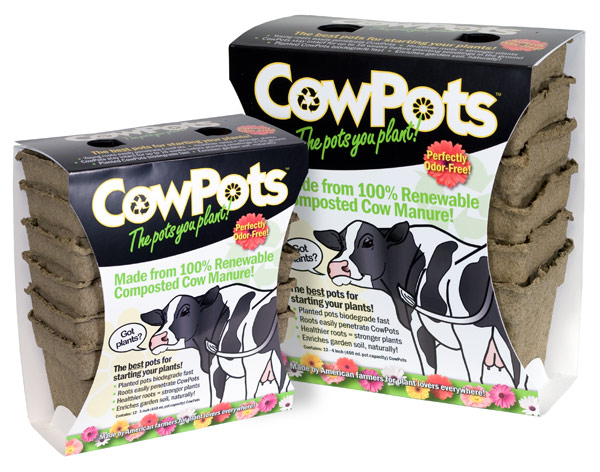 Bovine Biscuits Get A New Lease On Life Finegardening