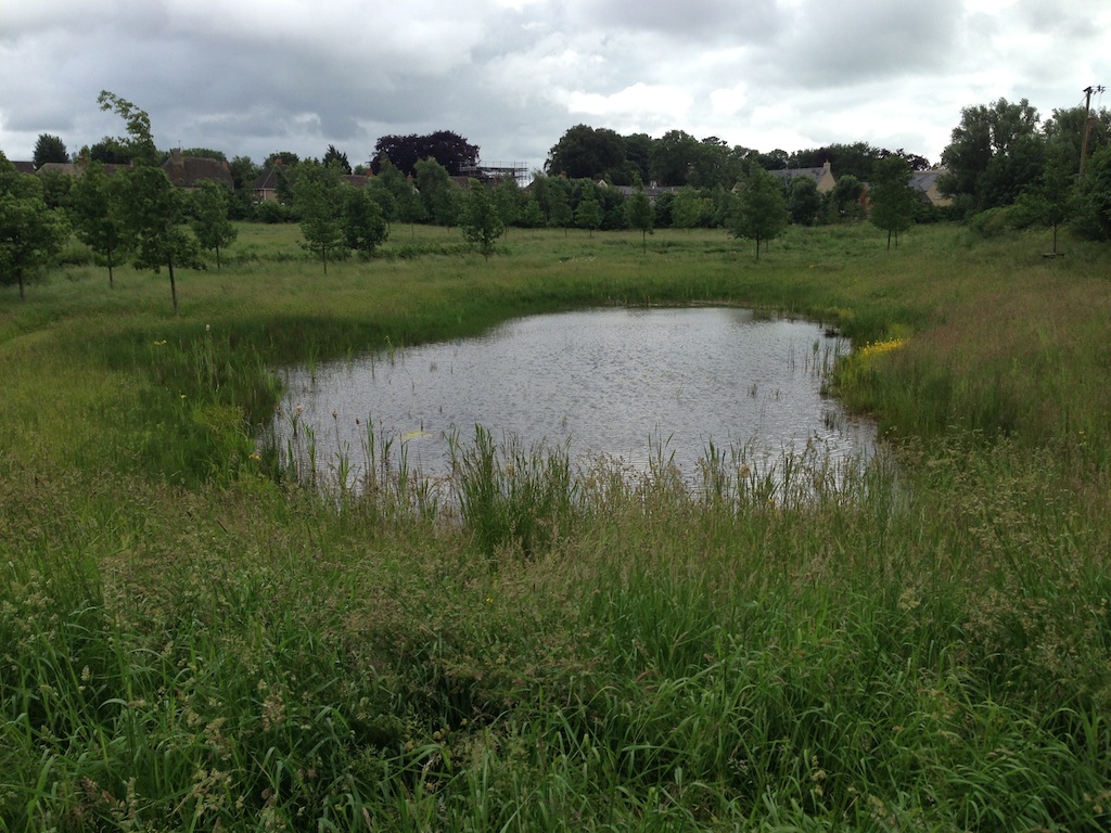 big ponds and have planted loads of trees