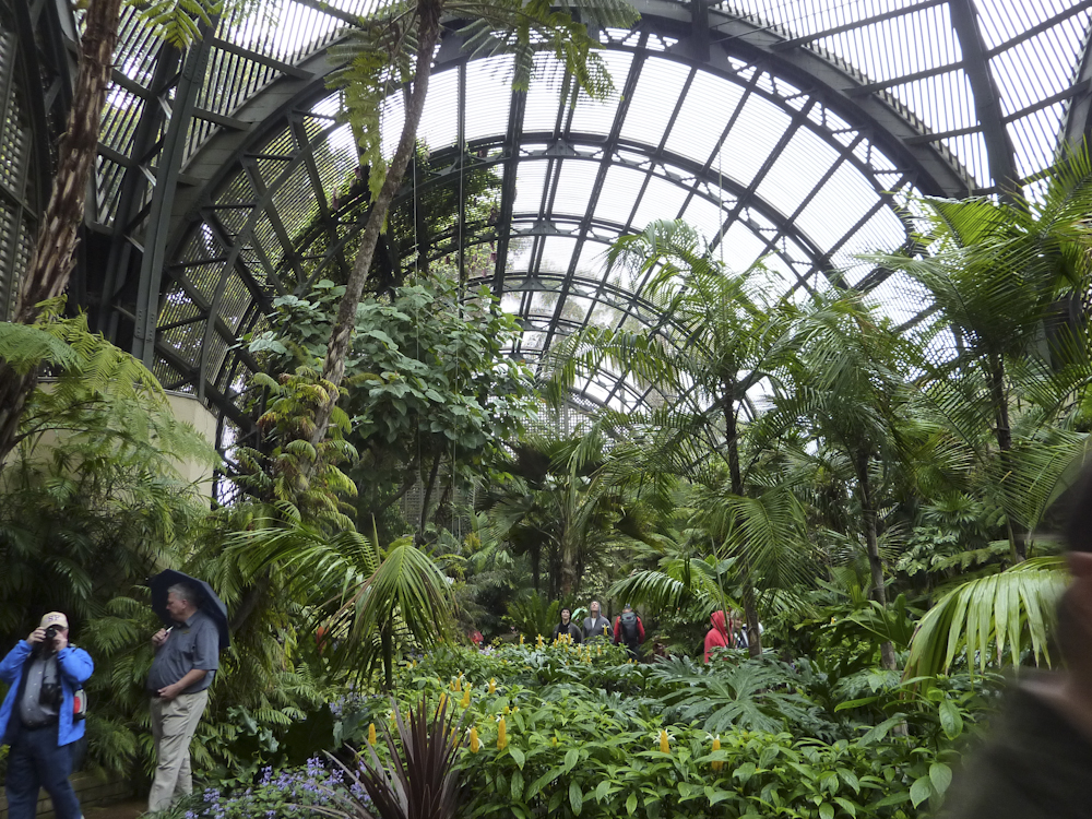 interior or botanical garden 