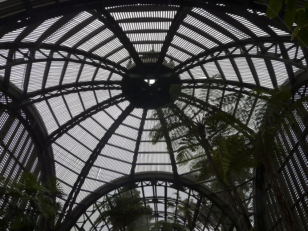 lath dome from below