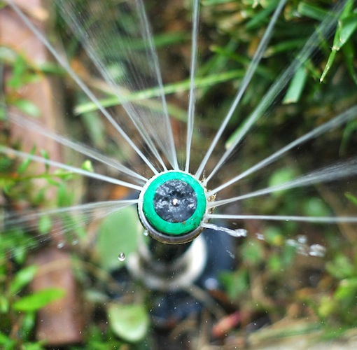 Rotary sprinkler nozzle from above