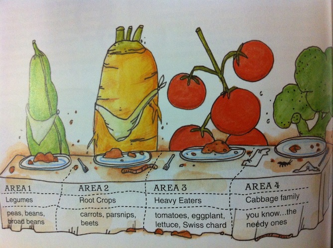 Illustration of vegetables