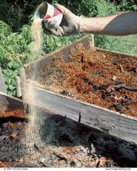 composting manure 