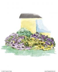 Illustration of a yellow house corner with plantings