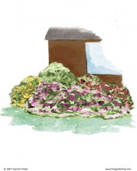 Illustration of a brown house corner with plantings