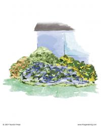 Illustration of a blue house corner with plantings