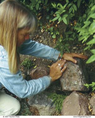 woman filling the pocket with garden soil, adding the plant, and then carefully securing the next stone.