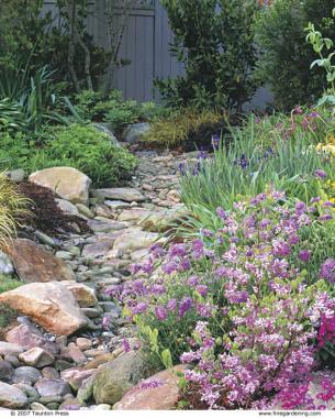 Differing exposures give this streamside garden a changing character