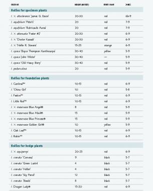 Holly Pollination Chart