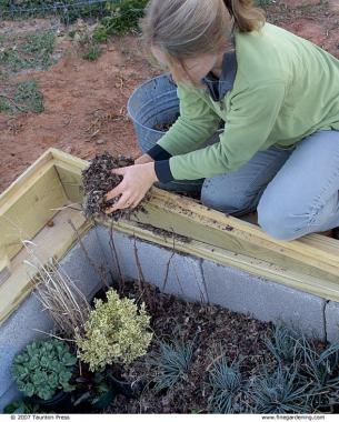 Woman putting soil into a cold frame