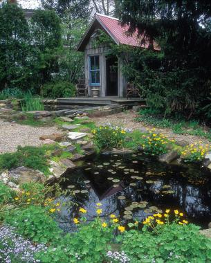 Cottage Garden With A Twist Finegardening