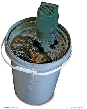 compost tea in a bucket