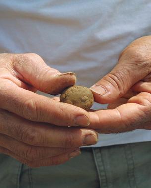 Hands holding a ball of soil to test for texture