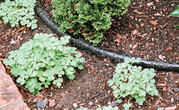 Direct-to-soil delivery with soaker hoses