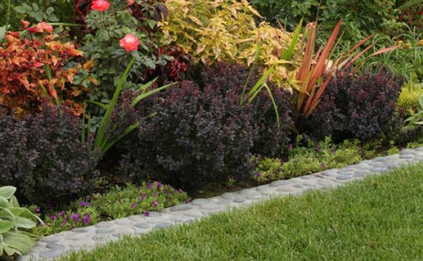 Get To Know Your Edging Options Finegardening